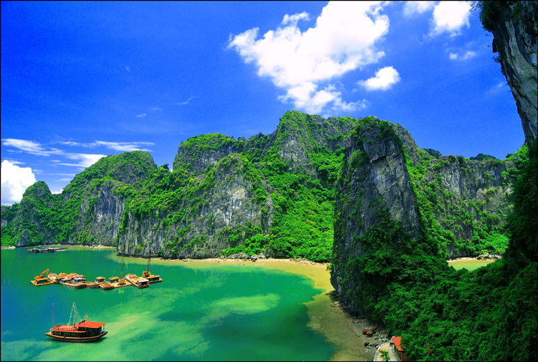 Quảng[-]Ninh:[-]Không[-]chấp[-]nhận[-]dự[-]án[-]nhà[-]máy[-]hóa[-]chất[-]để[-]bảo[-]vệ[-]nghiêm[-]di[-]sản[-]thế[-]giới[-]